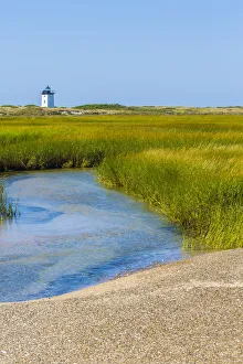 Salt marsh cord grass (Spartina alterniflora) on shore of Cape Cod, with Long Point Salt marsh cord grass (Spartina alterniflora) on shore of Cape Cod, with Long Point