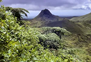 Santa Cruz Island highlands with Puntudo spatter cone and lush vegetation with Cyathea Santa Cruz Island highlands with Puntudo spatter cone and lush vegetation with Cyathea