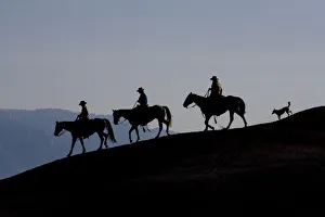 Silhouette of three cowboys and a dog riding down a ridge, Flitner Ranch, Shell, Wyoming Silhouette of three cowboys and a dog riding down a ridge, Flitner Ranch, Shell, Wyoming