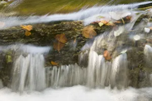 Small cascade on travertine, Galovac barrier, Upper Lakes, Plitvice Lakes NP Croatia Small cascade on travertine, Galovac barrier, Upper Lakes, Plitvice Lakes NP Croatia