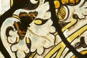 Small tortoishell butterfly (Aglais urticae) on a stained glass window of church Small tortoishell butterfly (Aglais urticae) on a stained glass window of church