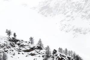 Snow covered mountain slopes with pine trees in Gran Paradiso National Park, Italy Snow covered mountain slopes with pine trees in Gran Paradiso National Park, Italy
