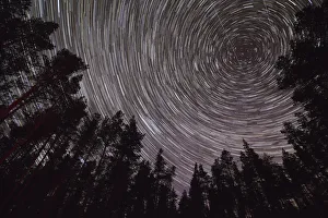Star trails above Scots pine (Pinus sylvestris) woodland, Glenfeshie, Cairngorms National Park Star trails above Scots pine (Pinus sylvestris) woodland, Glenfeshie, Cairngorms National Park