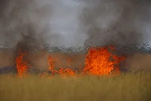 Steppe fields on fire, Bagerova Steppe, Kerch Peninsula, Crimea, Ukraine, July 2009 Steppe fields on fire, Bagerova Steppe, Kerch Peninsula, Crimea, Ukraine, July 2009