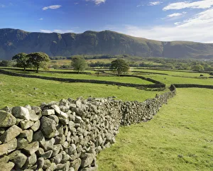Stone walls boundaries on farmland with Whin Rigg in background, Wastwater Lake Stone walls boundaries on farmland with Whin Rigg in background, Wastwater Lake