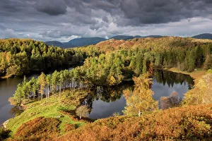 Tarn Hows, late evening light in autumn, near Coniston, The Lake District, Cumbria, UK Tarn Hows, late evening light in autumn, near Coniston, The Lake District, Cumbria, UK