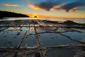 Tessellated pavement at sunset. Eagle Hawk Neck, Tasmania, Australia. Tasman Sea Tessellated pavement at sunset. Eagle Hawk Neck, Tasmania, Australia. Tasman Sea