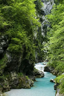 Tolminka river flowing through Tolminska korita, Triglav National Park, Slovenia Tolminka river flowing through Tolminska korita, Triglav National Park, Slovenia
