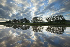 Trees and clouds reflected in River Spey at dawn, Cairngorms National Park, Scotland Trees and clouds reflected in River Spey at dawn, Cairngorms National Park, Scotland