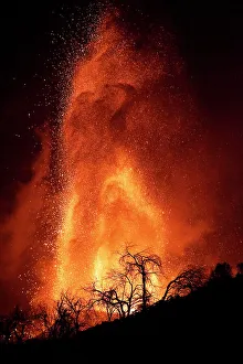 Trees silhouetted against erupting Cumbre Vieja volcano at night, La Palma Trees silhouetted against erupting Cumbre Vieja volcano at night, La Palma
