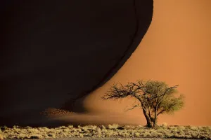 Sossusvlei Sand Dune Patterns Print