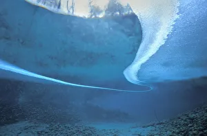 Underwater landscape beneath ice in Aare river tributary Spring Creek, Canton of Berne Underwater landscape beneath ice in Aare river tributary Spring Creek, Canton of Berne
