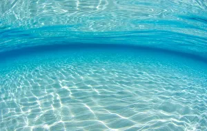 Underwater scene where light and water interplay on a shallow sand bank, Grand Cayman Underwater scene where light and water interplay on a shallow sand bank, Grand Cayman