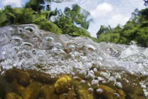 Underwater view of Sungai Melinau River, Gunung Mulu National Park, Sarawak, Borneo, Malaysia Underwater view of Sungai Melinau River, Gunung Mulu National Park, Sarawak, Borneo, Malaysia