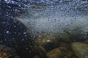 Underwater view of the Temnik River, Lake Baikal, Baikalsky Reserve, Siberia, Russia. May Underwater view of the Temnik River, Lake Baikal, Baikalsky Reserve, Siberia, Russia. May