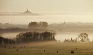 View towards Glastonbury tor from Walton Hill at dawn, Somerset Levels, Somerset View towards Glastonbury tor from Walton Hill at dawn, Somerset Levels, Somerset