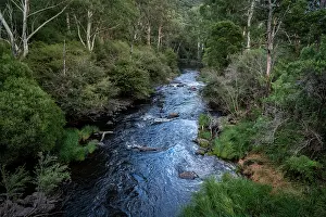 High Angle View Of River Prints: View looking down on the Yarra River surrounded by native forest