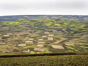 Western Europe Nature Images Prints: View of patchwork moorland landscape