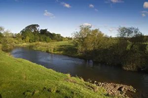 View of the River Till, part of area where The Tweed Foundation are monitoring View of the River Till, part of area where The Tweed Foundation are monitoring