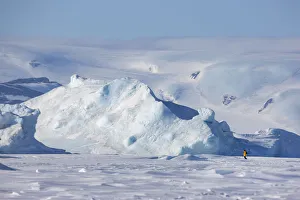 View of tourist walking near Emperor penguin colony at Snow Hill Island rookery, Weddell Sea View of tourist walking near Emperor penguin colony at Snow Hill Island rookery, Weddell Sea