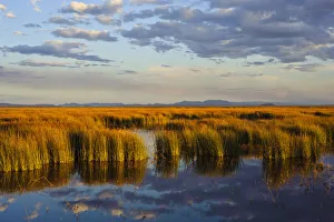Wetland in central Oregons Malheur National Wildlife Refuge, Malheur County, Oregon Wetland in central Oregons Malheur National Wildlife Refuge, Malheur County, Oregon