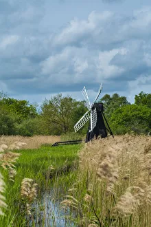 Wicken Fen wetlands with windmill water pump and Phragmites reeds, Cambridgeshire, England, May Wicken Fen wetlands with windmill water pump and Phragmites reeds, Cambridgeshire, England, May