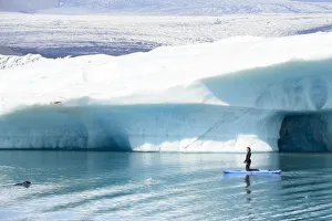 Woman paddling alongside curious Harbor seal (Phoca vitulina). Jokulsarlon Glacier Lagoon, Iceland. July Woman paddling alongside curious Harbor seal (Phoca vitulina). Jokulsarlon Glacier Lagoon, Iceland. July