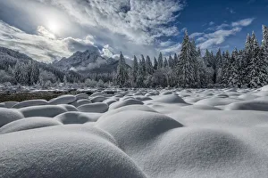Zelenci Springs in winter, Julian Alps, Kranjska Gora, Slovenia, February 2018 Zelenci Springs in winter, Julian Alps, Kranjska Gora, Slovenia, February 2018