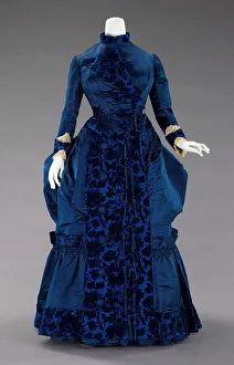 Elegant Victorian-Era Dress Print