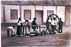Sepia Toned Photographs Prints: 2683716