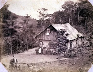 Vintage Rural Landscape Prints: 2683737