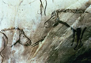 Prehistoric Cave Paintings Prints: 2684385