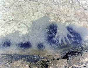 Prehistoric Cave Painting Prints: 2684395