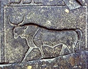 Ancient Animal Art Prints: 2684904