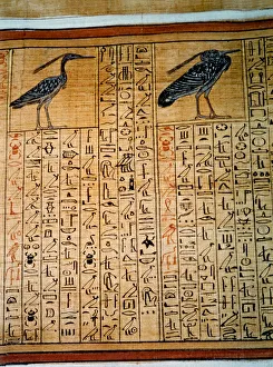 Egyptian Hieroglyphics Meaning Prints: 2684968