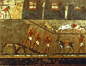 Daily Life In Ancient Egypt Prints: 2685503