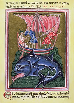 Medieval Sailing Vessels Prints: 2685567