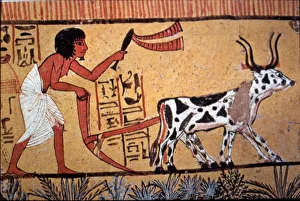Daily Life In Ancient Egypt Prints: 2685730