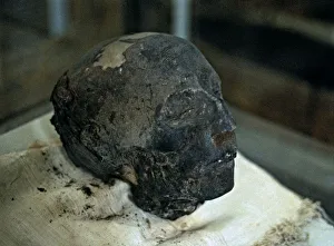 Ancient Egyptian Mummy Prints: 2686070