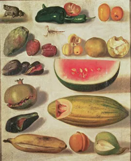 Exotic Fruit Still Life Prints: 2686369