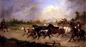 Rugged American Landscape Prints: 2686397