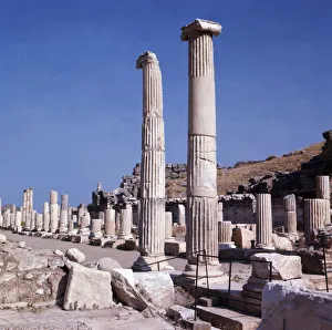 Doric Column Architecture Prints: 2686891