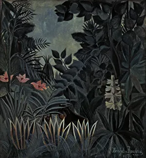 Dense Jungle Vegetation Prints: 2687026