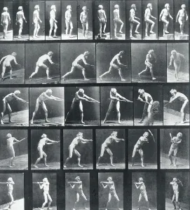 Eadweard Muybridge Images Prints: A: Walking. B: Ascending a Step
