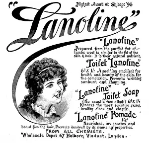 Print of Lanoline Advertisement, 1895