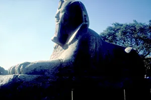 Alabaster Sphinx Print