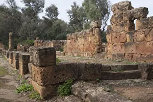Algeria, Tipasa, Roman Temple Ruins Print 2007