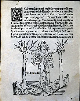 Historical Astronomy Illustrations Prints: Andromeda, mithological interpretation of the constellations, engraving from Astronomicon