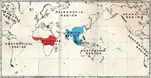 Anthropoidea - Map distribution Genera Semnopithecus (Blue), Nasalis (Brown), Colobus (Red), 1897 Anthropoidea - Map distribution Genera Semnopithecus (Blue), Nasalis (Brown), Colobus (Red), 1897