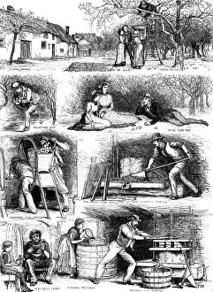 Agricultural Worker Art Prints: Apple-gathering and cider-making in Devonshire, 1883. Creator: Unknown